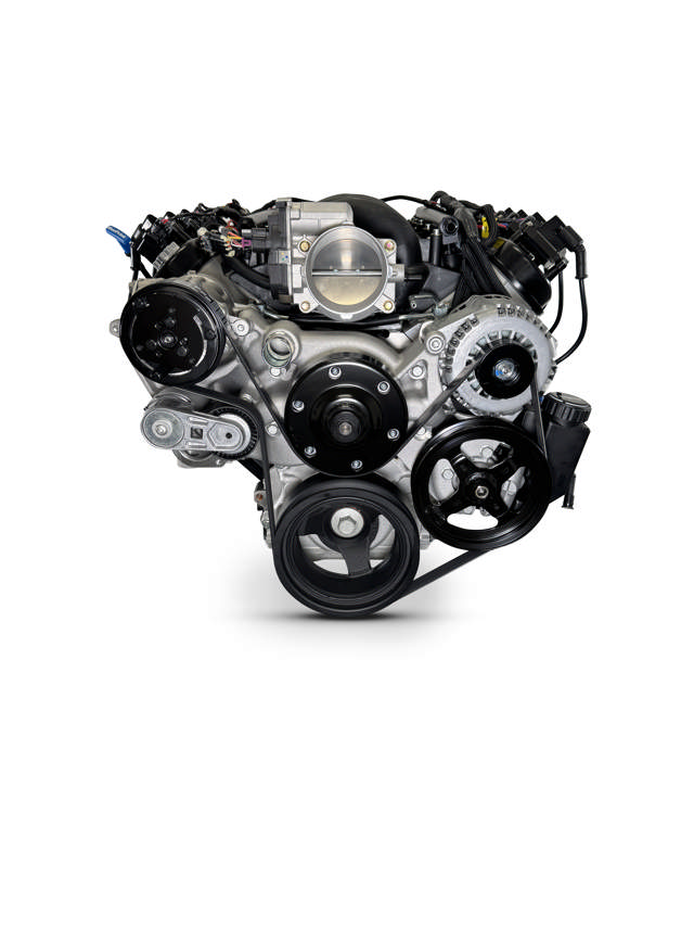 GM LS Compatible 376 c.i. Pro Series Engine - GM Plastic Intake - Deluxe Dressed - Natural Pulley Kit - Holley Terminator X EFI System