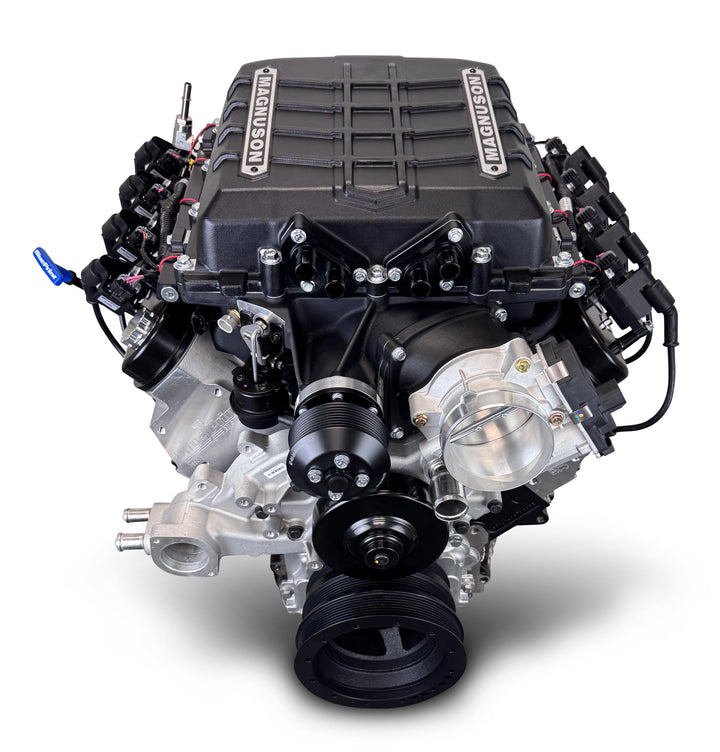GM LS Compatible 376 c.i. Pro Series Engine - 700 Horsepower - Base Dressed - Holley Terminator X EFI System