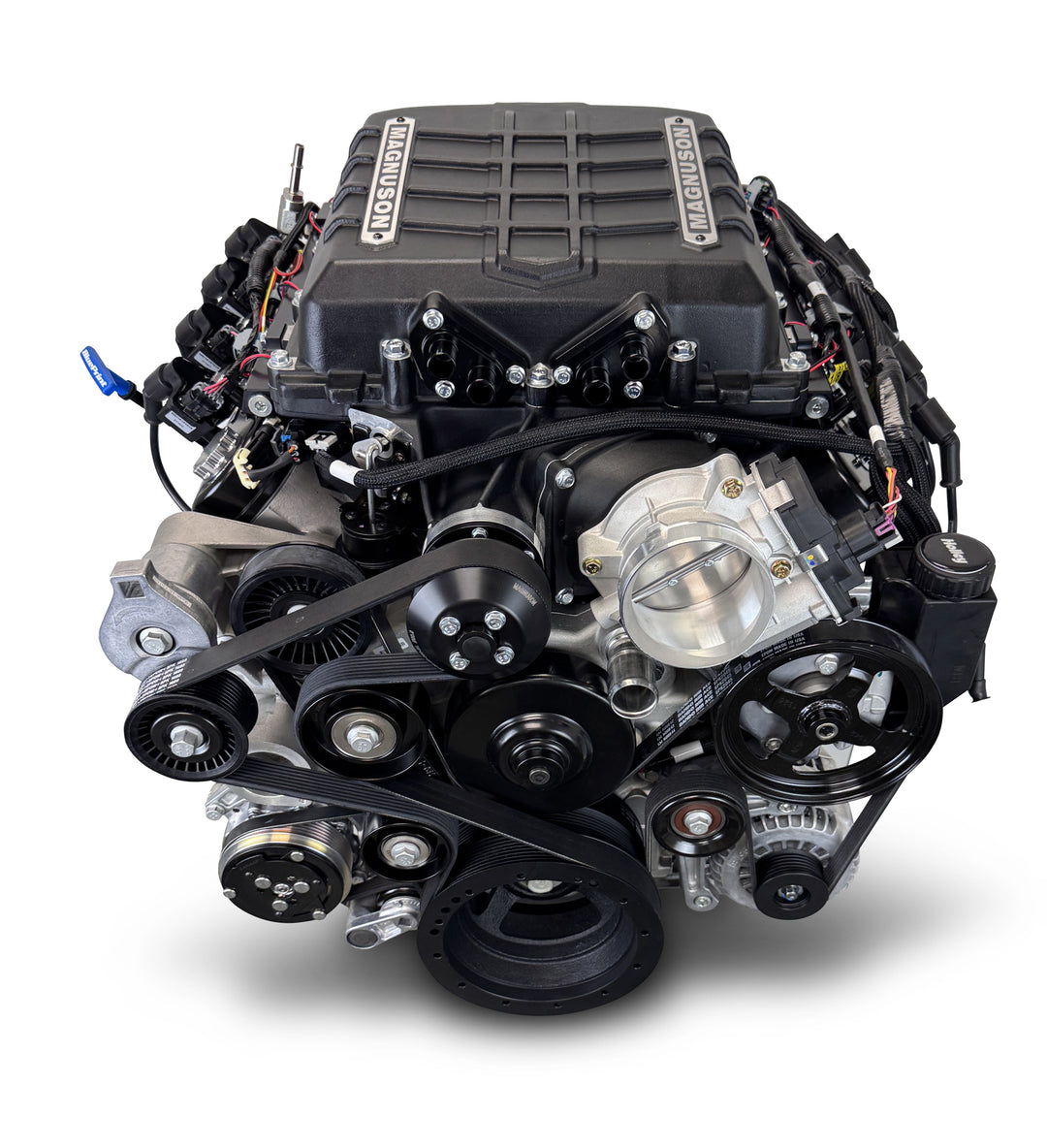 GM LS Compatible 427 c.i. Pro Series Engine - 800 Horsepower - Deluxe Dressed - Natural Pulley Kit - Holley Terminator X EFI System