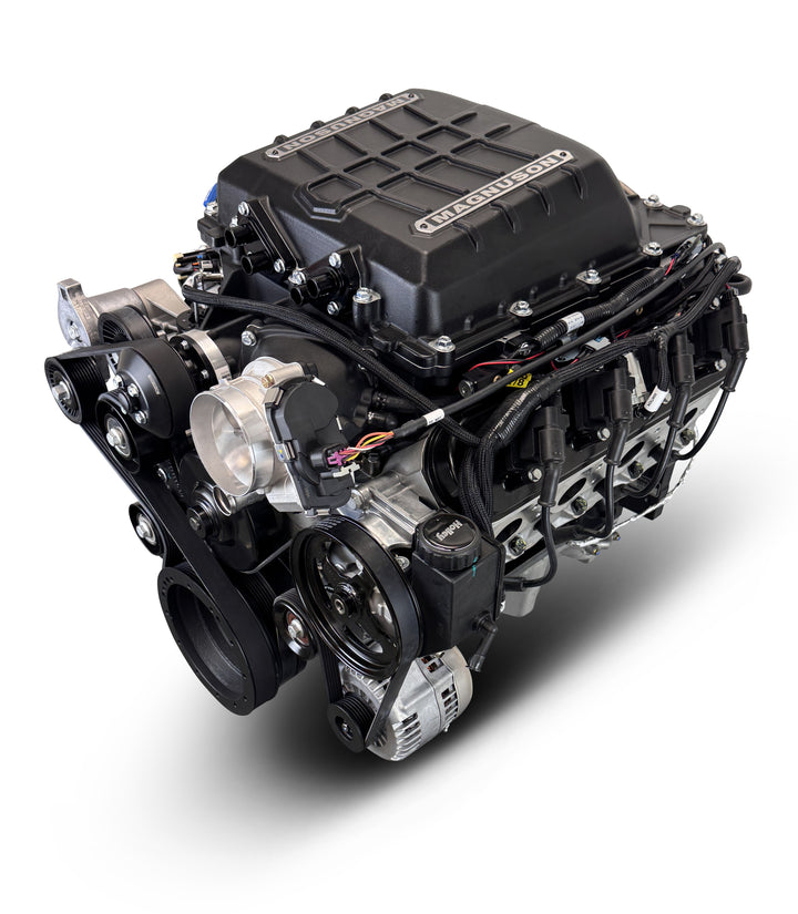 GM LS Compatible 427 c.i. Pro Series Engine - 800 Horsepower - Deluxe Dressed - Natural Pulley Kit - Holley Terminator X EFI System
